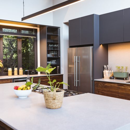 Modern kitchen with island, stainless steel appliances, and potted plants, copy space. interior, design, home, decor, contemporary, countertop